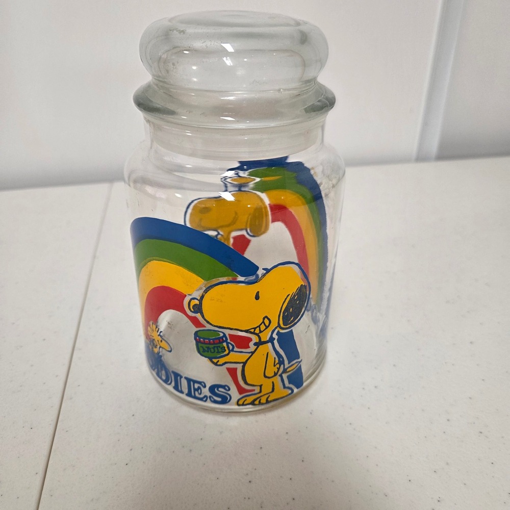 Vintage Peanuts Snoopy Rainbow Goodies Glass Jar with Lid Schulz Retro Storage